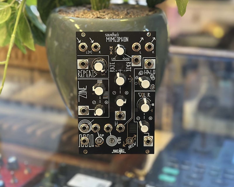 Make Noise Mimeophon