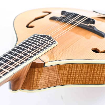 Bourgeois M5A Aged Tone Natural image 10