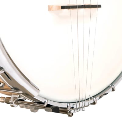 Gold Tone MM-150LN Maple Mountain Long Neck Openback 5-String Banjo image 5