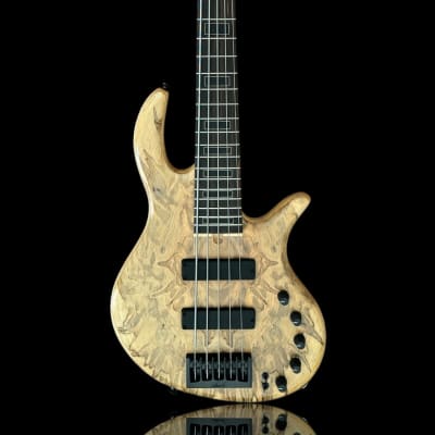 F-bass BN5-NTY (Buckeye Burl Top & Birdseye Maple F.B.) | Reverb