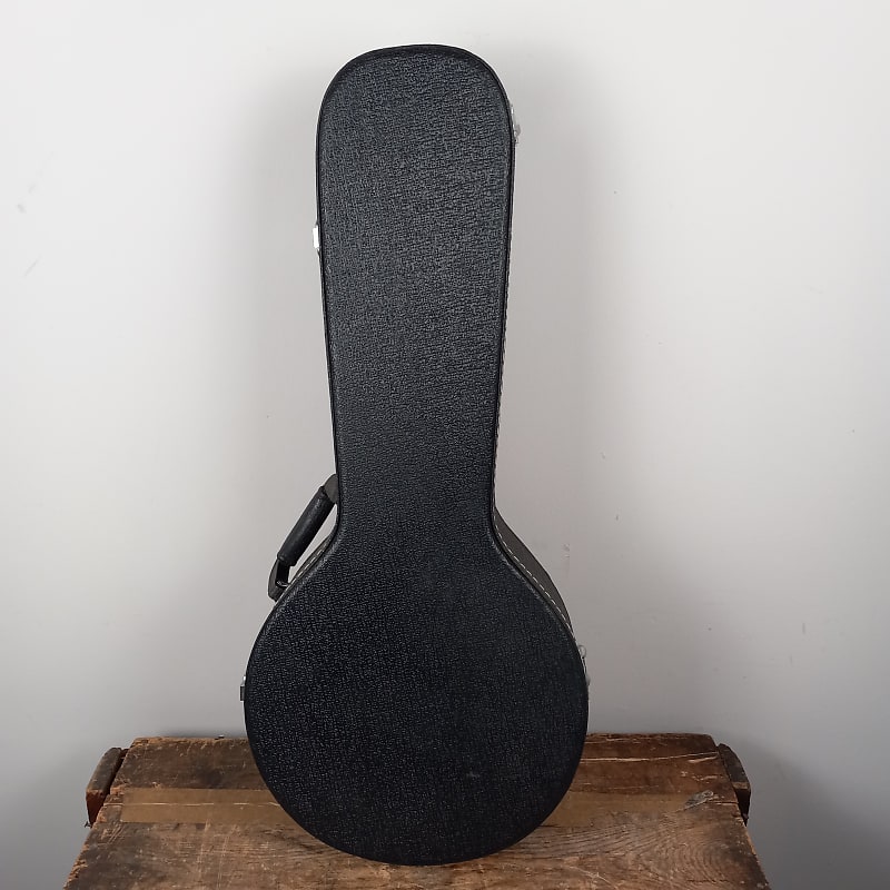 A style Mandolin Hardshell Case | Reverb