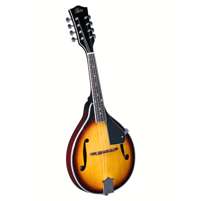 Rover RM-25S Student A-Style Mandolin with Solid Spruce Top