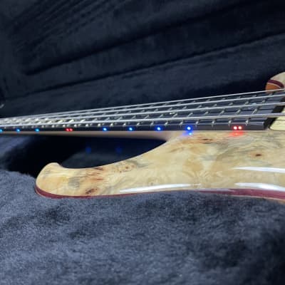 Alembic Mark King Deluxe 4, Buckeye Burl with Ebony Fretboard and Blue And Red LED's *IN STOCK* image 21
