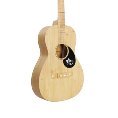 Ibanez AEW21VK-NT1201 Natural Acoustic/Electric Guitar