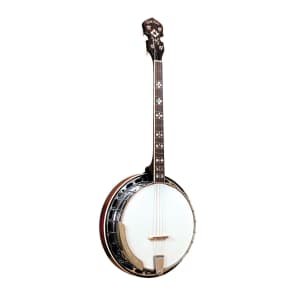 Gold Tone TS-250 4-String Flat Top Resonator Tenor Special Banjo