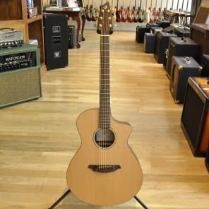 Breedlove AC250/CR Syn  Natural image 4