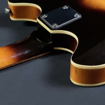 2003 Oscar Schmidt Delta King OE-30/TS Semi-Hollow Body Electric Guitar image 18