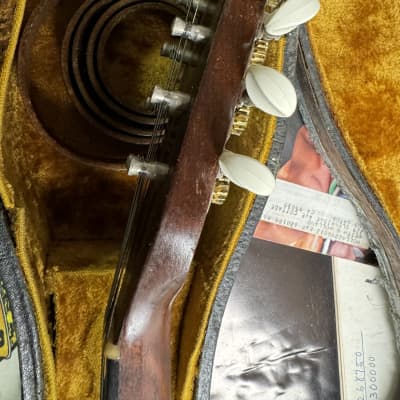 Vega Cylinder Back Mandolin  #SR 11-106 1920's - Natural image 23