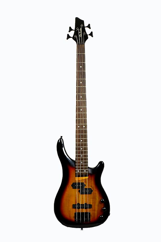 Glen Burton GBSRB-TS Basswood Body Maple Neck 4-String Electric Bass Guitar w/Gig Bag, Strap, Cable, Picks, Strings & Key image 1