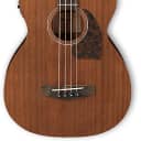 Ibanez PCBE12MH Acoustic/Electric Bass Natural