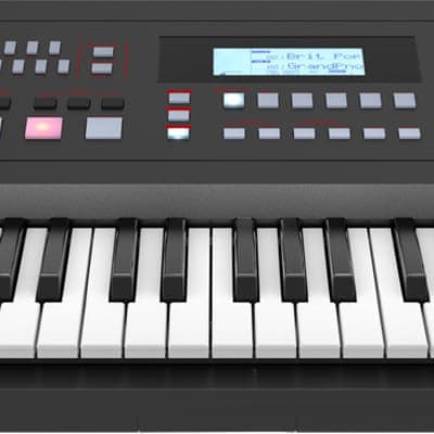 Roland E-X50 61-Key Entertainment Arranger Keyboard image 3