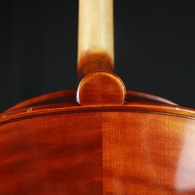 The Luthier Shop Adjusted 4/4 Size Beautiful Cello w/ Fiberglass Blue Case image 10