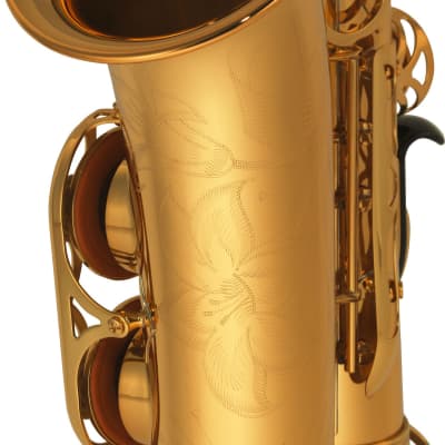 Yamaha YAS-875EXII Custom Professional Alto Saxophone - Gold Lacquer