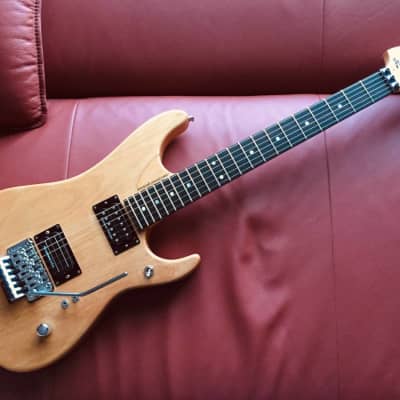 Washburn n1 mod リビルド品 2025年最新】washburn n1の人気アイテム - メルカリ