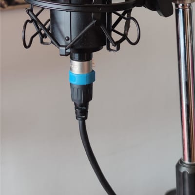Peavey Studio Pro M2 Großmembran-Kondensatormikrofon. Schwarz. TOP Zustand. OVP! image 13