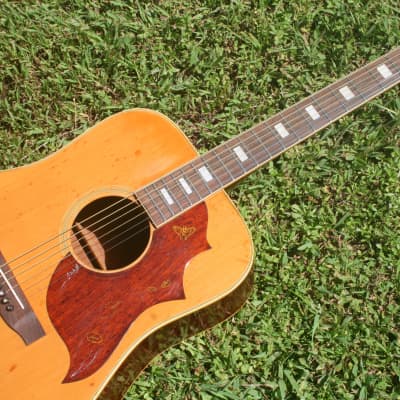 Takamine Elite HM-25 Hummingbird Replica Guitar Bargain 1974