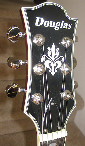 Douglas hollow body guitar on sale
