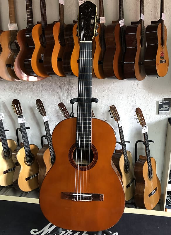 Rare Di Giorgio Autor 3 fabriquée en 1974 au Brésil   étui | Reverb