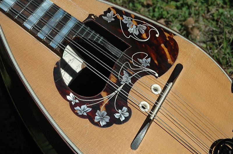 RAFFAELE CALACE マンドリン　Anno19 Raffaele Calace mandolin from 1909 – L'instrumenterie