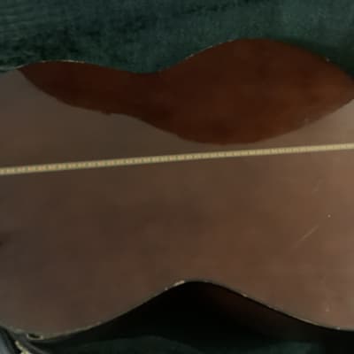 Candelas Guitars Hermanos Delgado classical acoustic guitar with case image 7