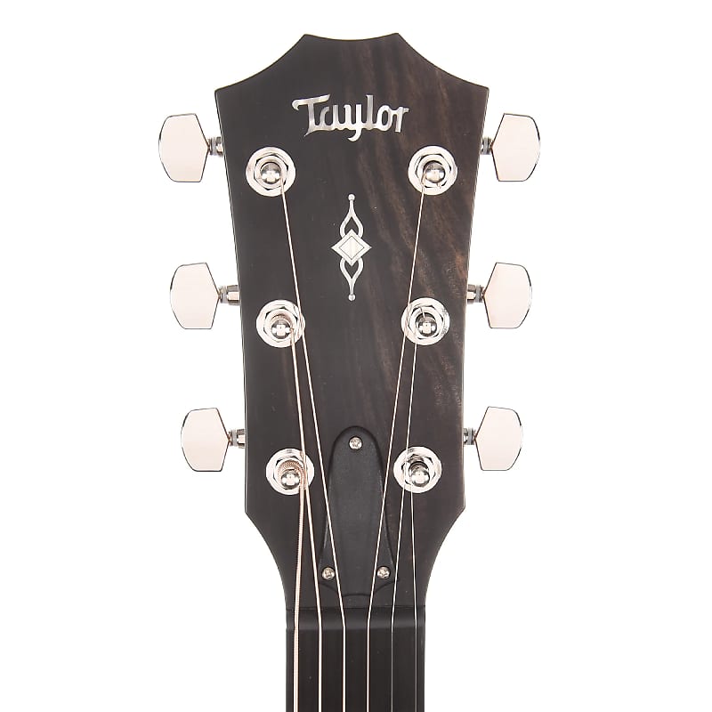 Taylor 312ce with V-Class Bracing image 6