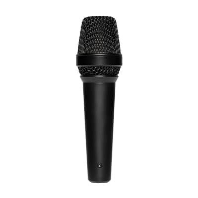Lewitt MTP 250 DM Dynamic Handheld Vocal Microphone image 2