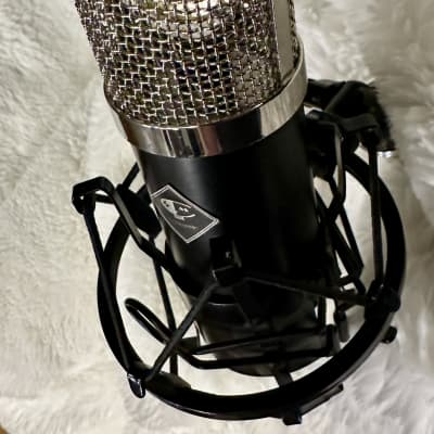 Cranium Microphones ~ SS47 Large Diaphragm Microphone image 10