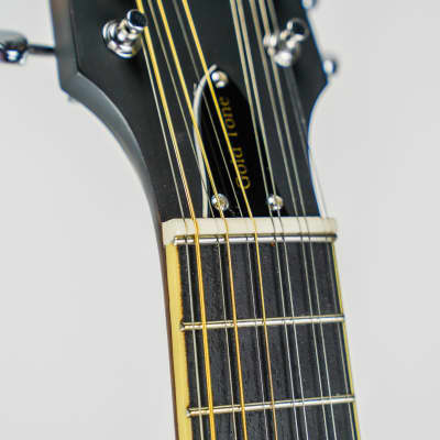 Gold Tone I-F12 Gold Tone F-Style 12-String Mando-Guitar w/ Foam Case image 18