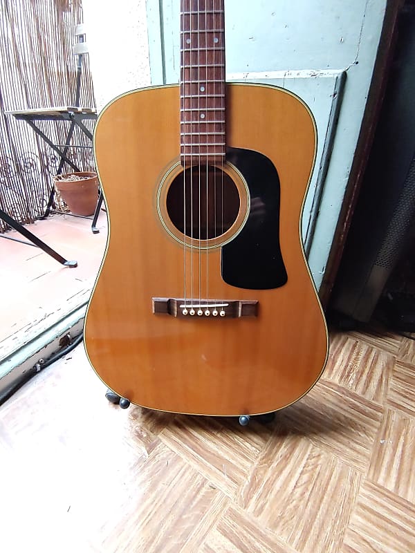 Washburn D15 Acoustic Guitar mij Japan 1981(Yamaki Build)