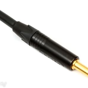 Pro Co EVLGCN-20 Evolution Straight to Straight Instrument Cable - 20 foot image 4