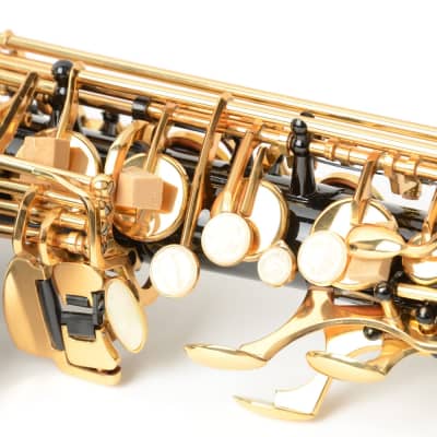 Glarry Student E Flat Alto SAX Saxophone Gold Black