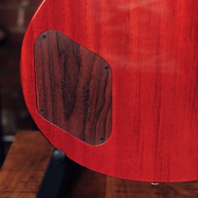 Agostin Single Cut Blues Special - Masterbuilt in Italy, Namm Demo! image 8