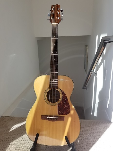 Beautiful Vintage Fender F 200 Grand Concert Guitar