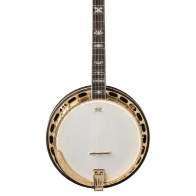 Washburn B17 Americana Series (5 String) Banjo. Tobacco Sunburst image 4