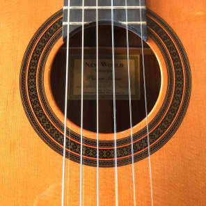 New World Guitar Co Player P650 Cedar image 3