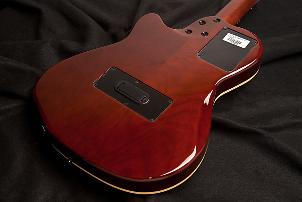 Godin Multiac ACS Rosewood