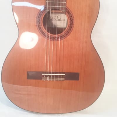 Cordoba Classical Guitar Iberia Series Model C-5 New Includes Setup, Warranty! image 2
