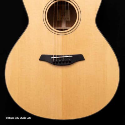 Furch - Green - Grand Auditorium Cutaway - Sitka Spruce - Mahogany Back/Sides - LR Baggs Stagepro Element - 1 - Hiscox OHSC image 1