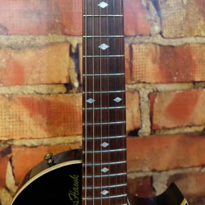 Gibson Blueshawk image 6