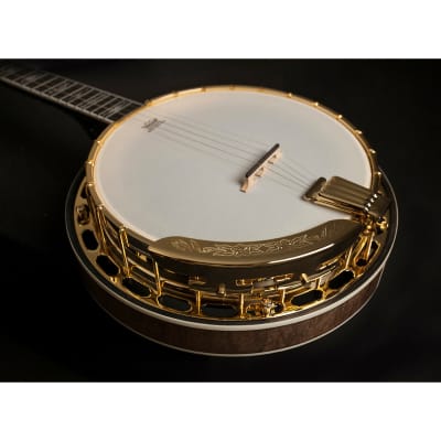 Washburn B17 Americana Series 5 String Banjo. Tobacco Sunburst image 4