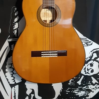 Yamaha on sale g230 guitar