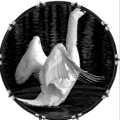 Custom Graphical 22" Kick Bass Drum Head Skin -White Swan for sale