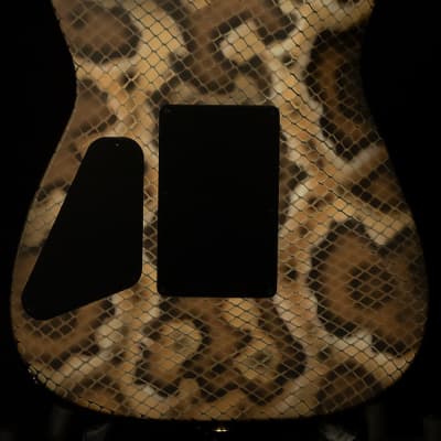 Charvel Custom Shop Warren DeMartini USA Signature Snake image 2