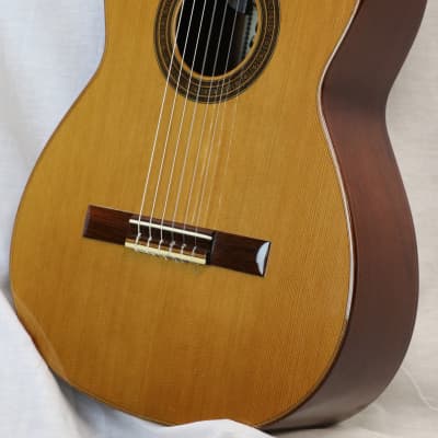 Superior Brand Classical Cutaway Guitar - Made in Mexico - Berkeley Music Instrument Co. image 4