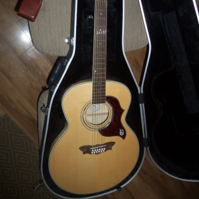 Washburn cumberland store 12 string