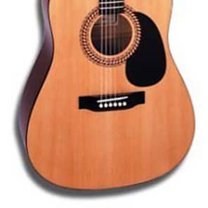 Hohner top guitar hw220