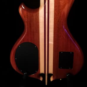 Alembic Burl Redwood Custom 4 String Bass image 5