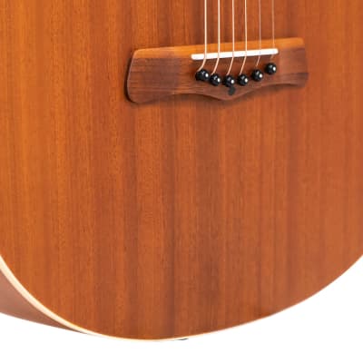 Gold Tone GT-Weissenborn Hawaiian-Style Slide 6-String Acoustic Guitar with Gig Bag image 6