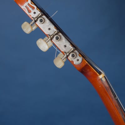 Giannini Craviola AWKNS6 / Nylon String and Bossa Ready! image 11