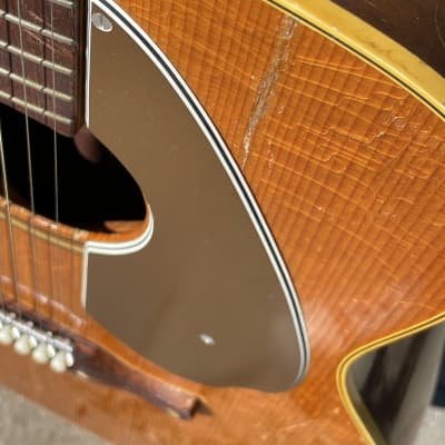 Fender Palomino - Kingsman/Malibu/Coronado image 12